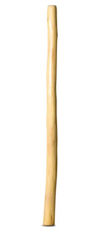 Medium Size Natural Finish Didgeridoo (TW1598)